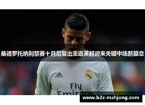 桑德罗托纳利禁赛十月后复出重返英超迎来关键中场新篇章