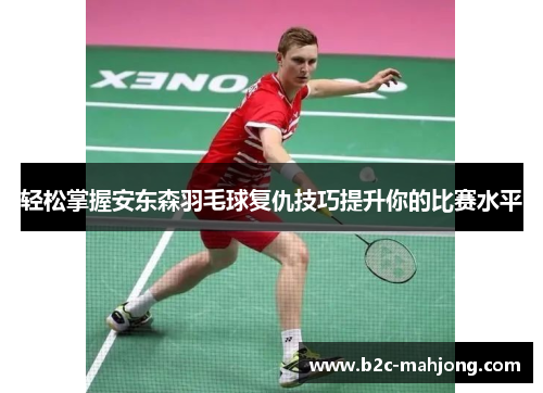 轻松掌握安东森羽毛球复仇技巧提升你的比赛水平
