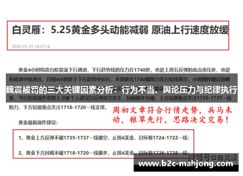 魏震被罚的三大关键因素分析：行为不当、舆论压力与纪律执行