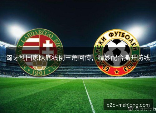 匈牙利国家队底线倒三角回传，精妙配合撕开防线